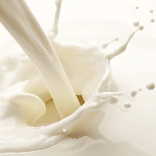 Молочные продукты и жидкости